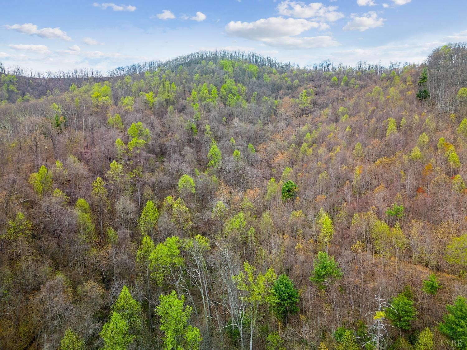 0 Wares Gap Road Monroe, VA 24574 - Photo 30 of 37 a view of a lake with a garden