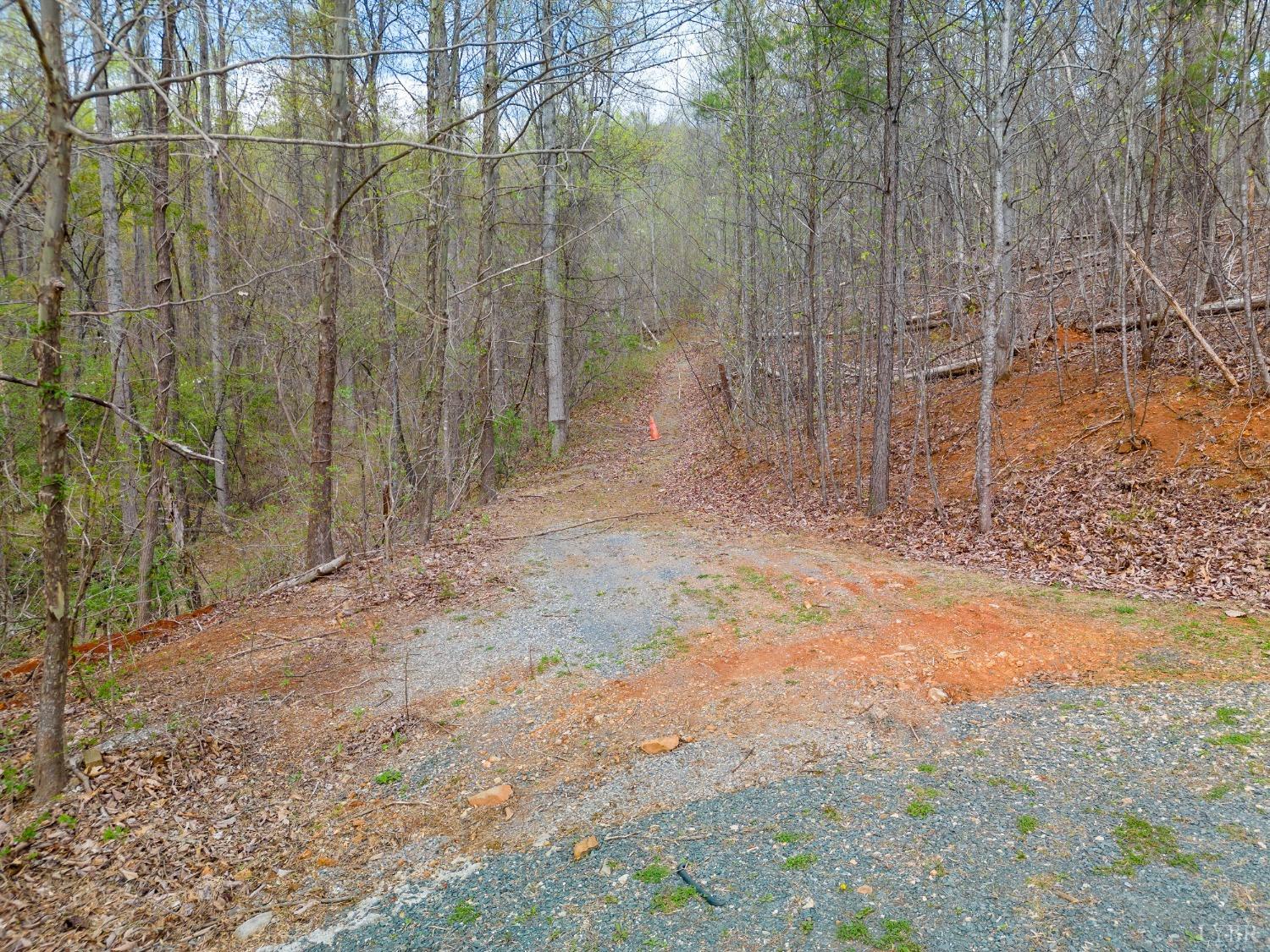 0 Wares Gap Road Monroe, VA 24574 - Photo 3 of 37 a view of a yard with trees in the background