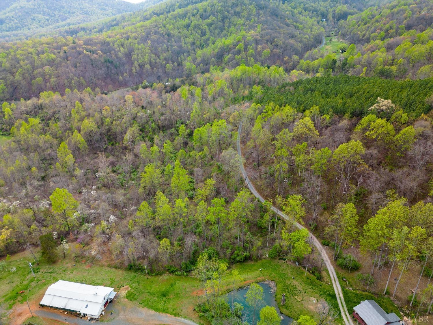 0 Wares Gap Road Monroe, VA 24574 - Photo 33 of 37 a backyard of a house with a yard and outdoor seating