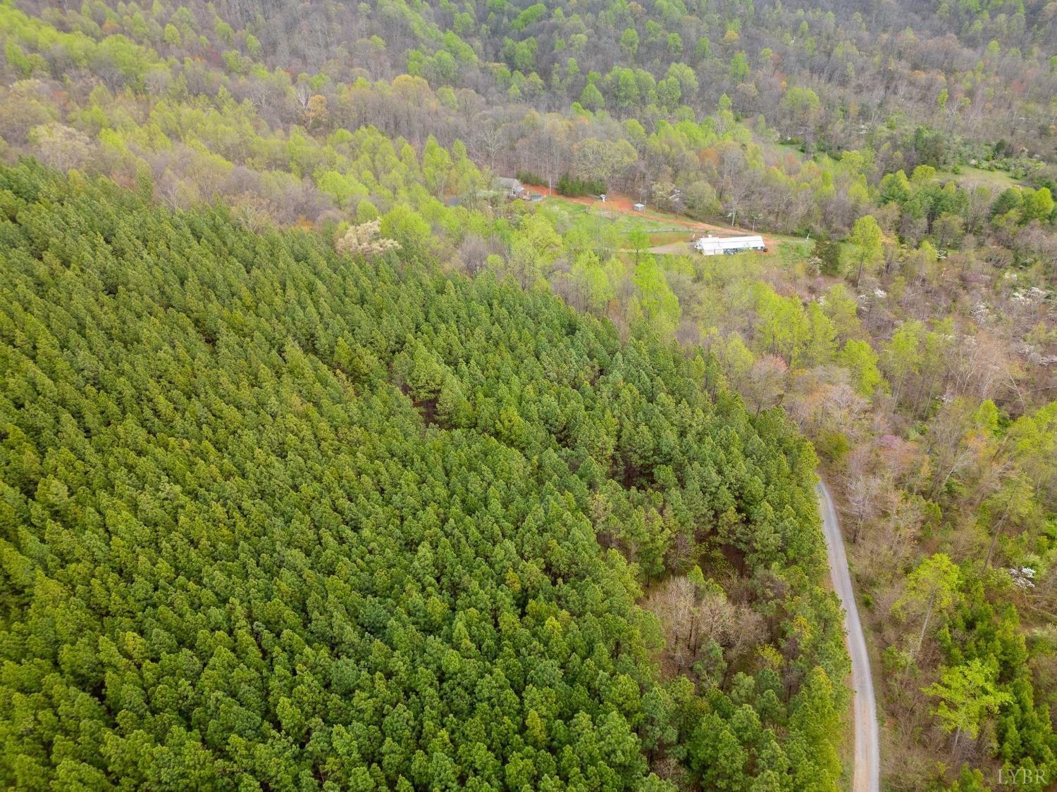 0 Wares Gap Road Monroe, VA 24574 - Photo 37 of 37 a view of a yard