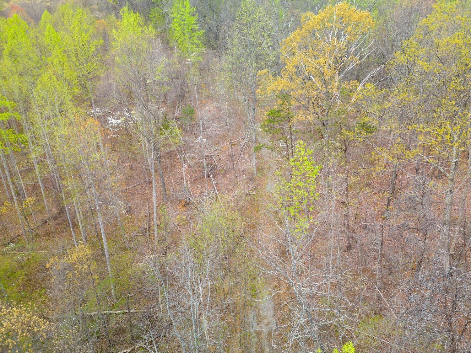 0 Wares Gap Road Monroe, VA 24574 - Photo 4 of 37 a bathroom with a shower