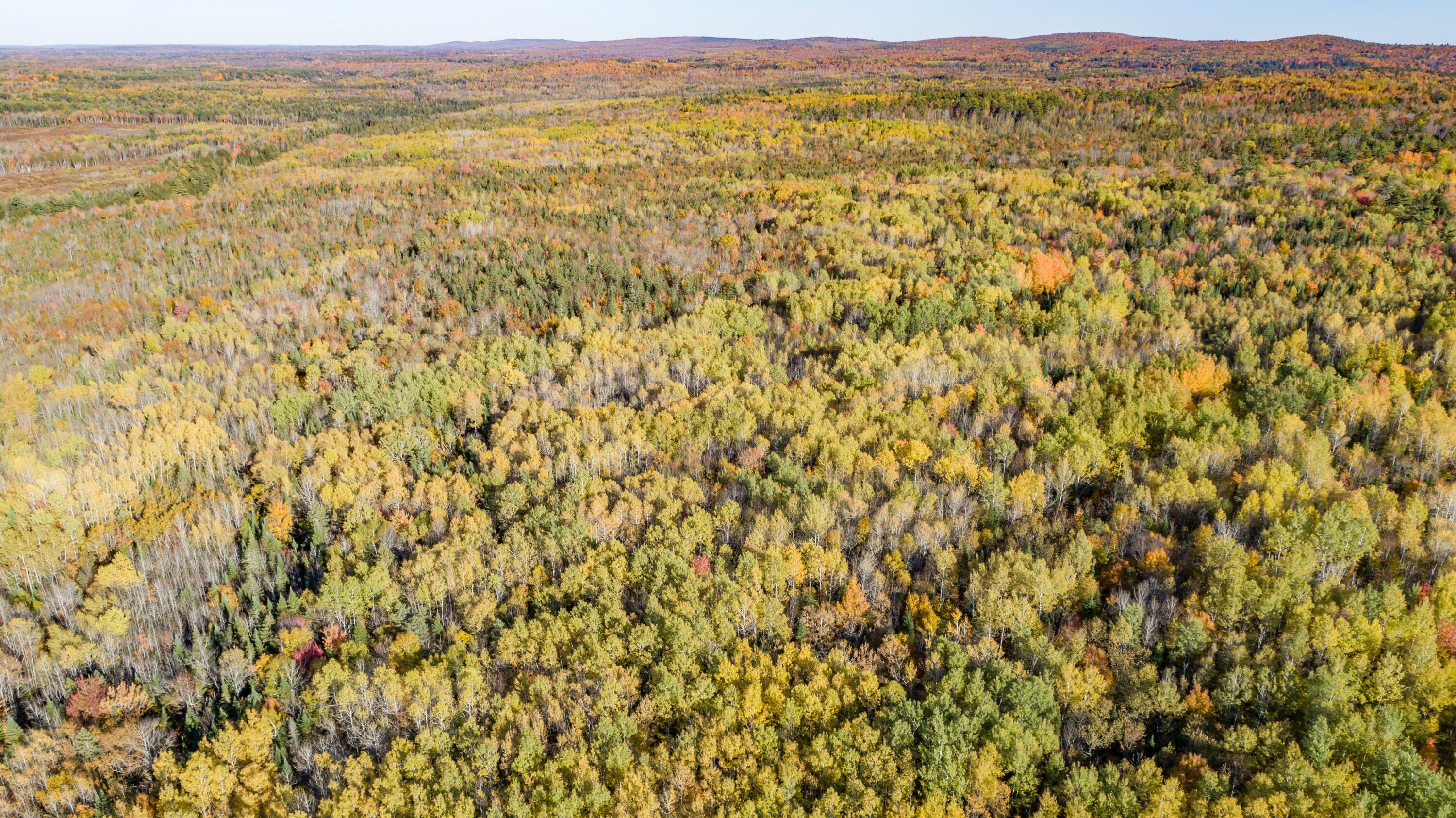 Lot 13 Lot Road Dexter, ME 04930 - Photo 4 of 9 DJI_0117