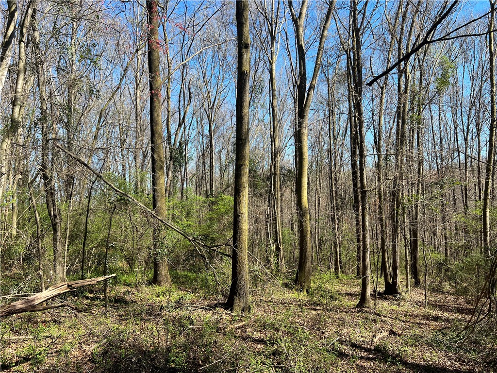 0 McAdams Road Townville, SC 29689 - Photo 12 of 33 Gallery Image 12