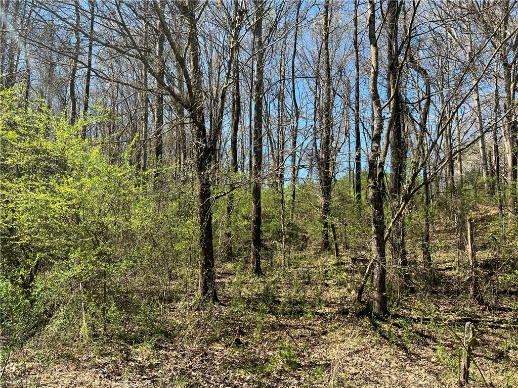 0 McAdams Road Townville, SC 29689 - Photo 16 of 33 Gallery Image 16