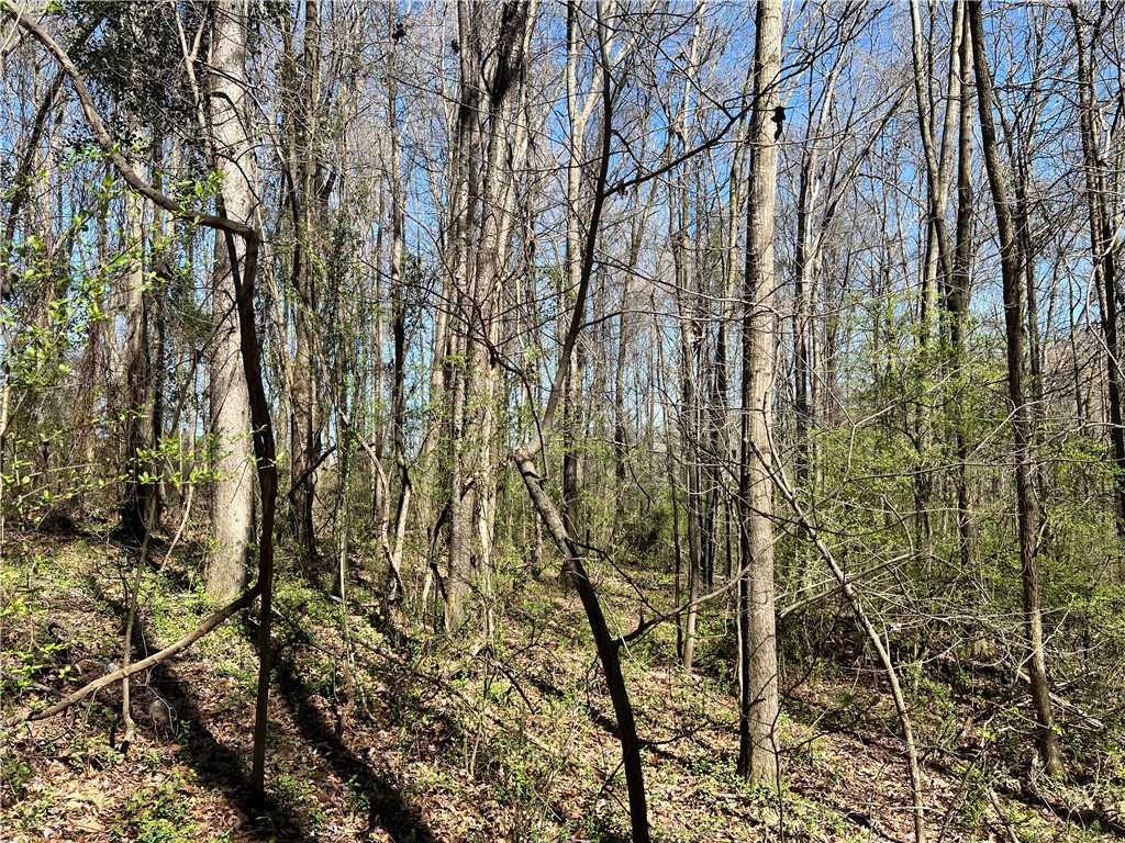 0 McAdams Road Townville, SC 29689 - Photo 17 of 33 Gallery Image 17