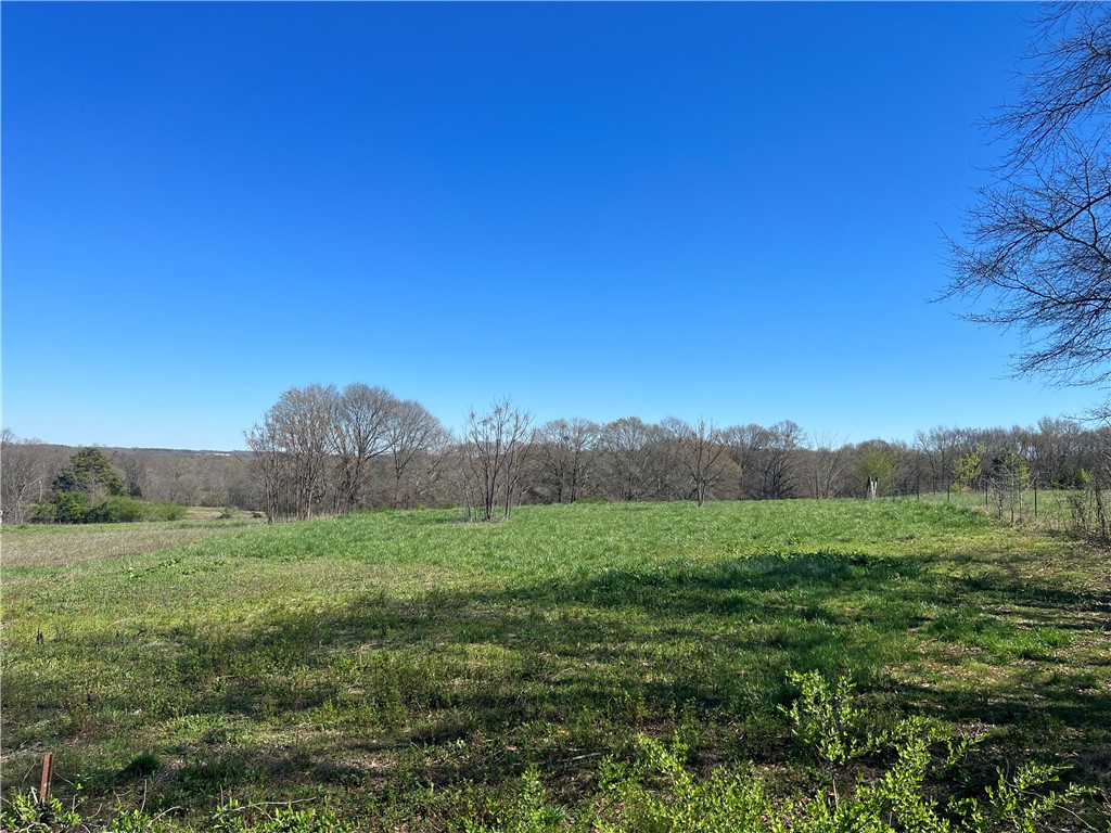 0 McAdams Road Townville, SC 29689 - Photo 19 of 33 Gallery Image 19
