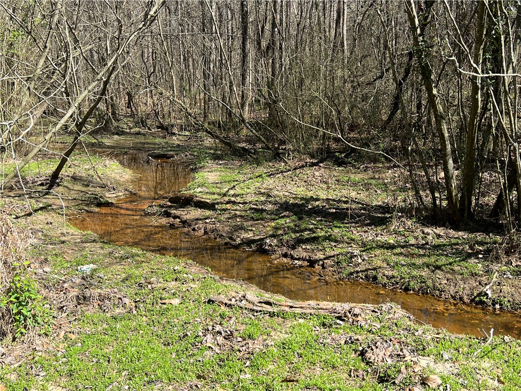 0 McAdams Road Townville, SC 29689 - Photo 2 of 33 Gallery Image 2
