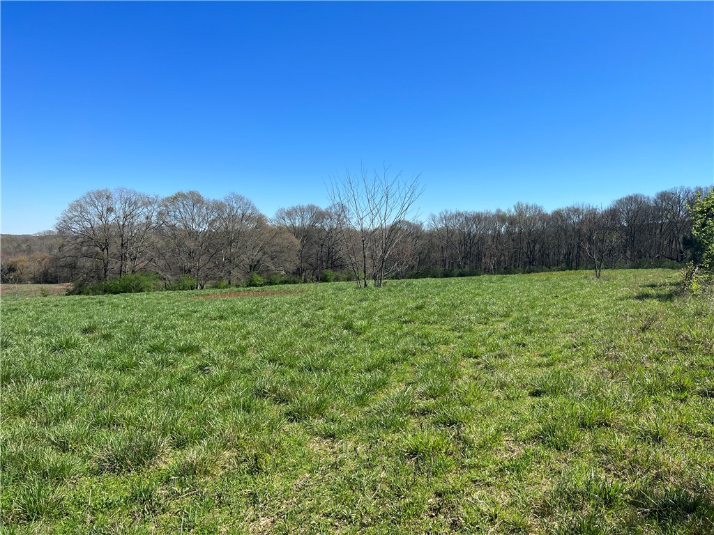 0 McAdams Road Townville, SC 29689 - Photo 21 of 33 Gallery Image 21