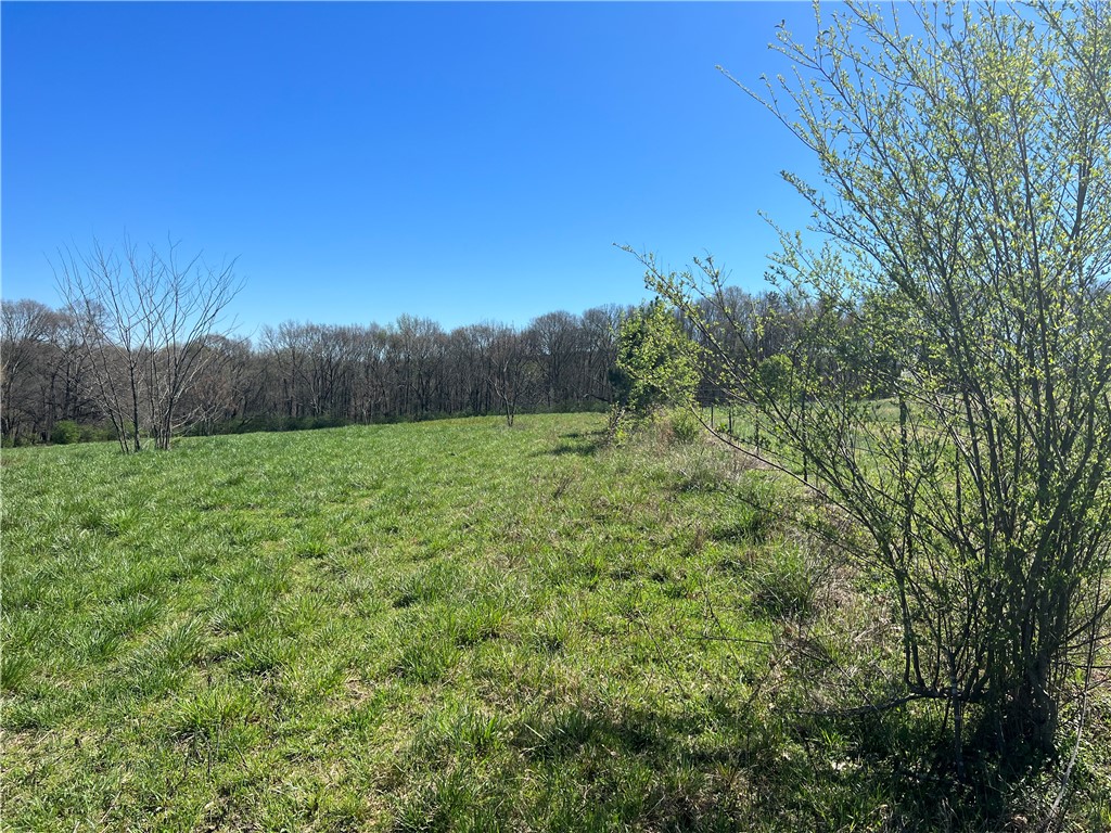 0 McAdams Road Townville, SC 29689 - Photo 22 of 33 Gallery Image 22