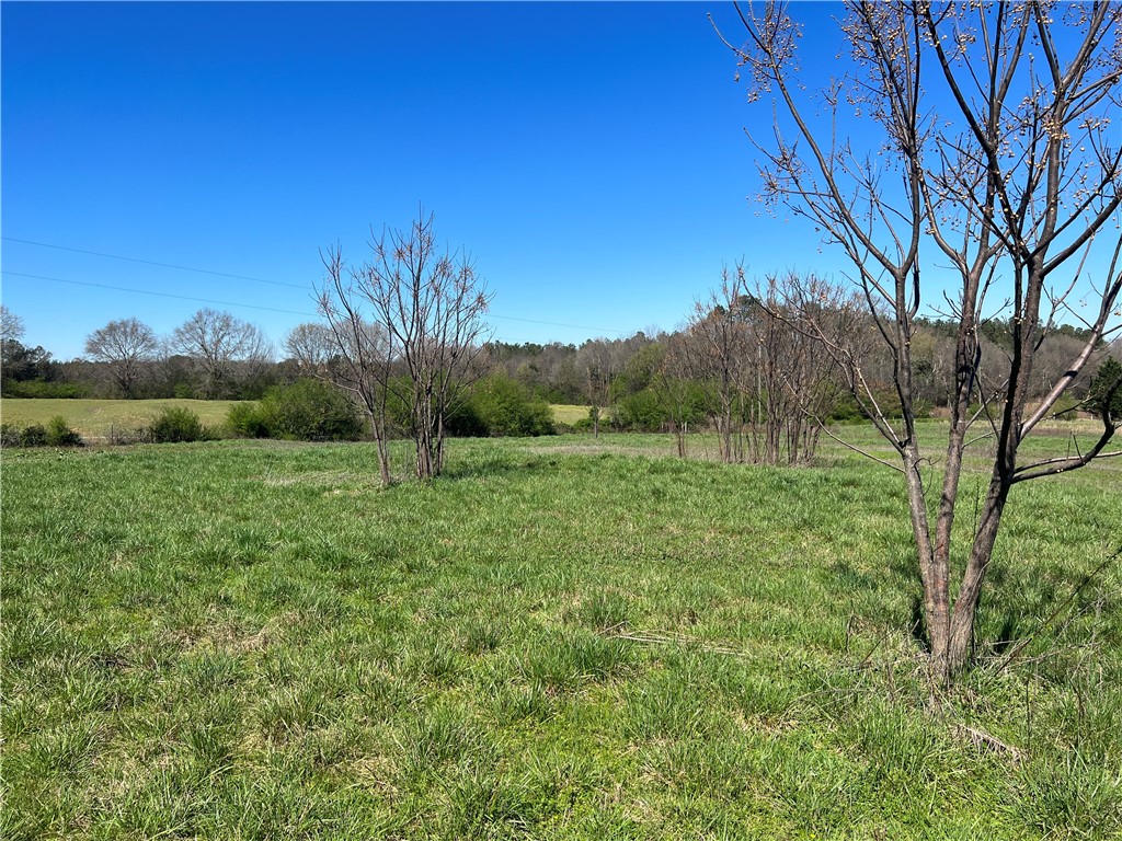 0 McAdams Road Townville, SC 29689 - Photo 23 of 33 Gallery Image 23