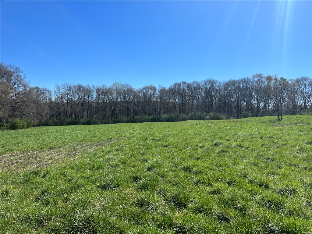 0 McAdams Road Townville, SC 29689 - Photo 24 of 33 Gallery Image 24