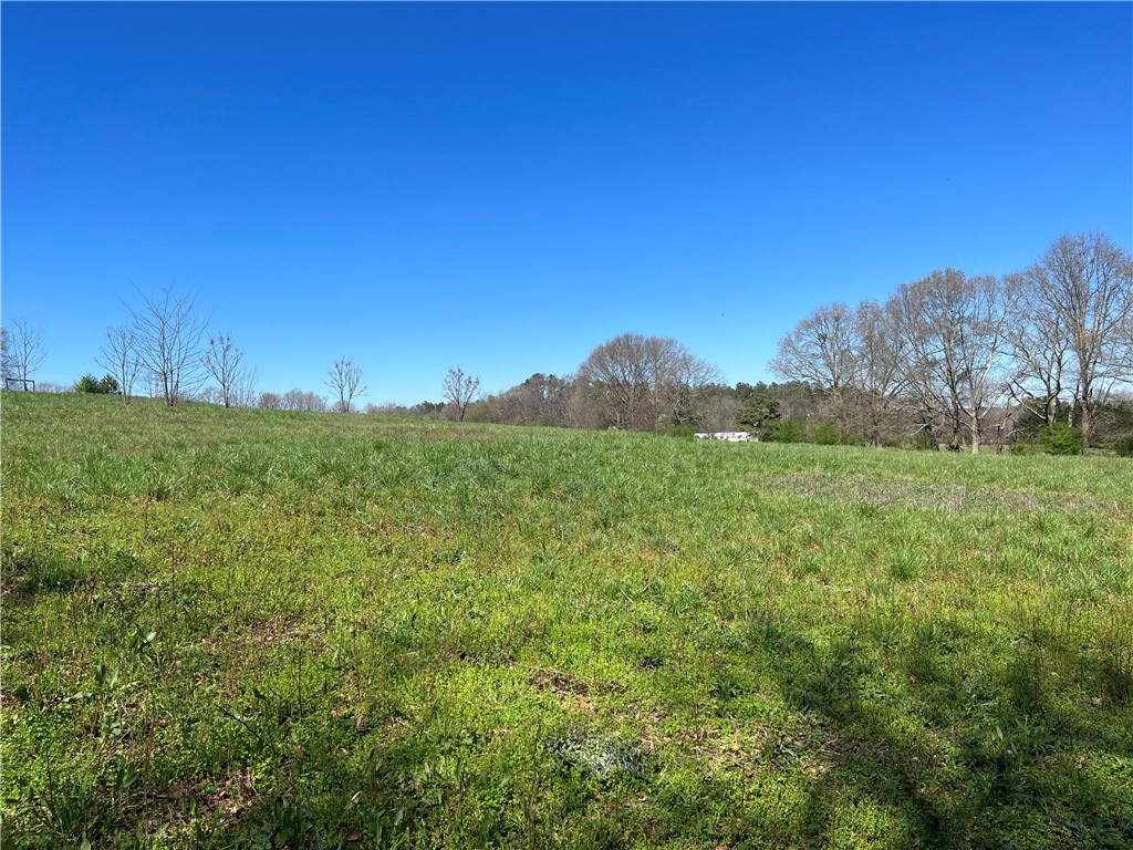 0 McAdams Road Townville, SC 29689 - Photo 25 of 33 Gallery Image 25