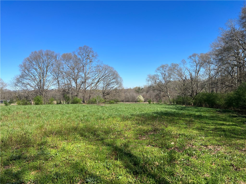 0 McAdams Road Townville, SC 29689 - Photo 26 of 33 Gallery Image 26