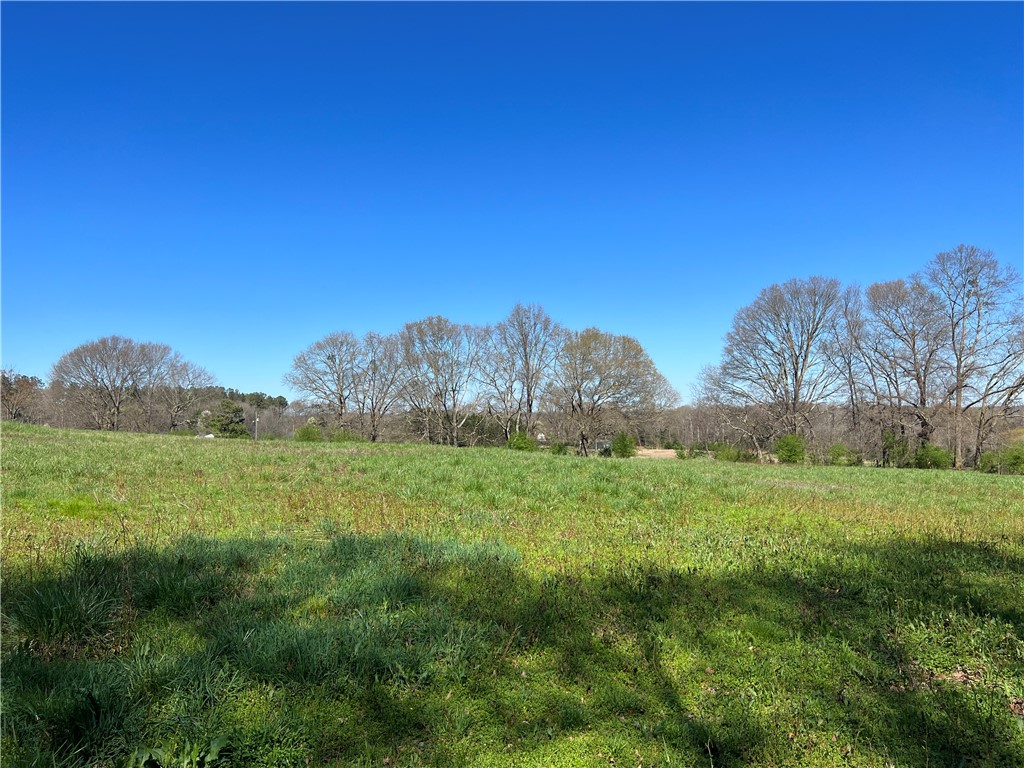 0 McAdams Road Townville, SC 29689 - Photo 28 of 33 Gallery Image 28
