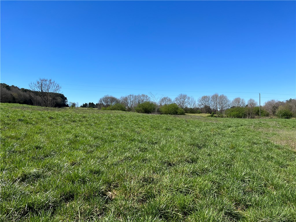 0 McAdams Road Townville, SC 29689 - Photo 29 of 33 Gallery Image 29