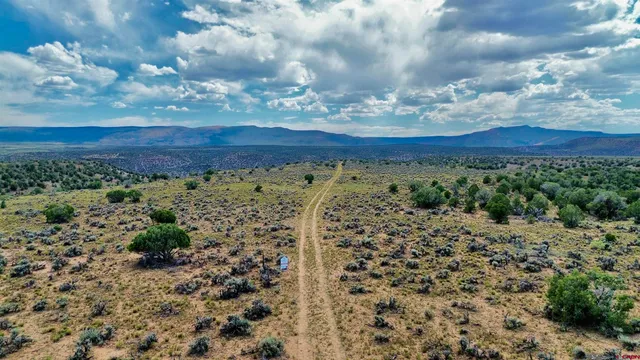 a view of a pathway with a yard