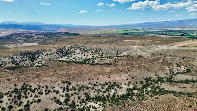 a view of an ocean beach