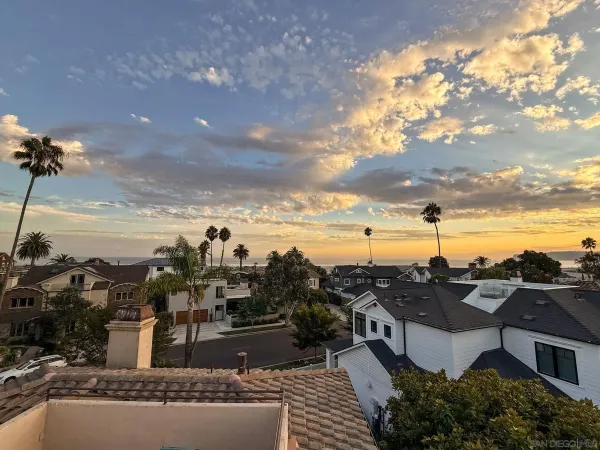 a view of backyard with a garden and plants
