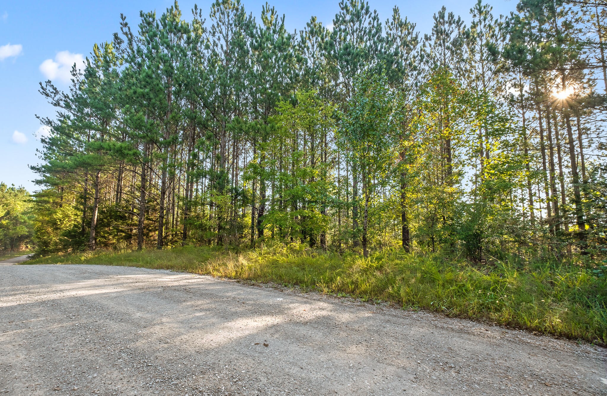 1 Green Pond Road Decatur, TN 37322 - Photo 19 of 26 Gallery Image 19