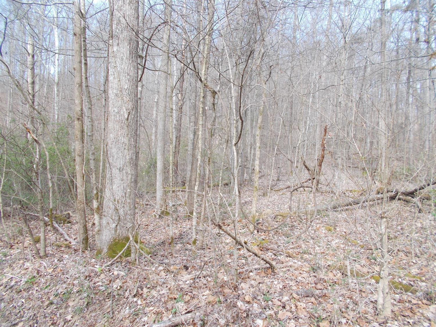 12.6-ac Long Lick Road Stout, OH 45684 - Photo 1 of 1 Gallery Image 1