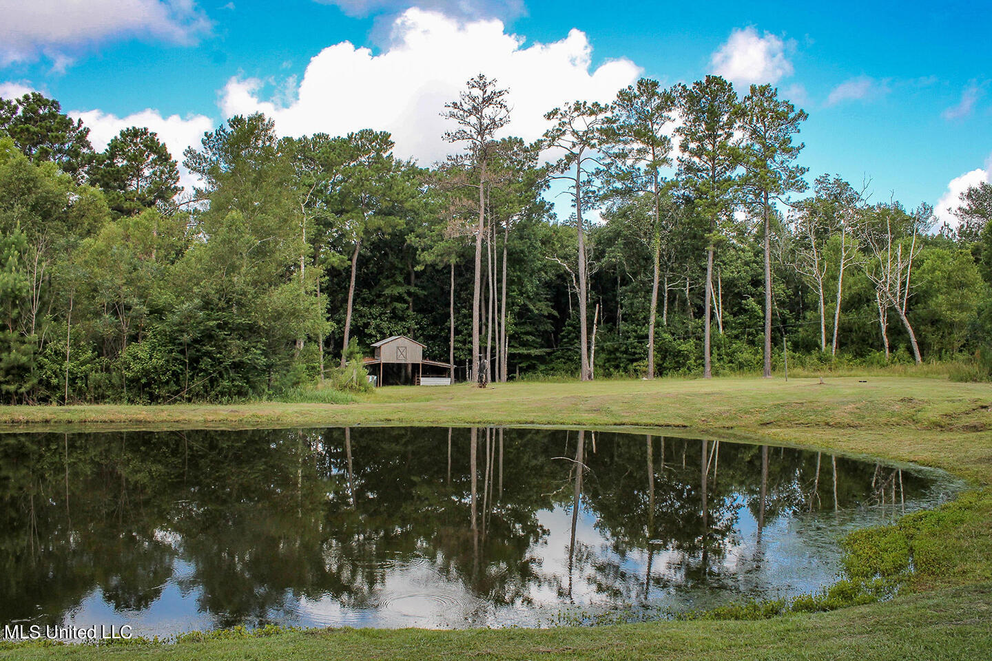 165 Tom Jones Road Lucedale, MS 39452 - Photo 40 of 48 6 (1)