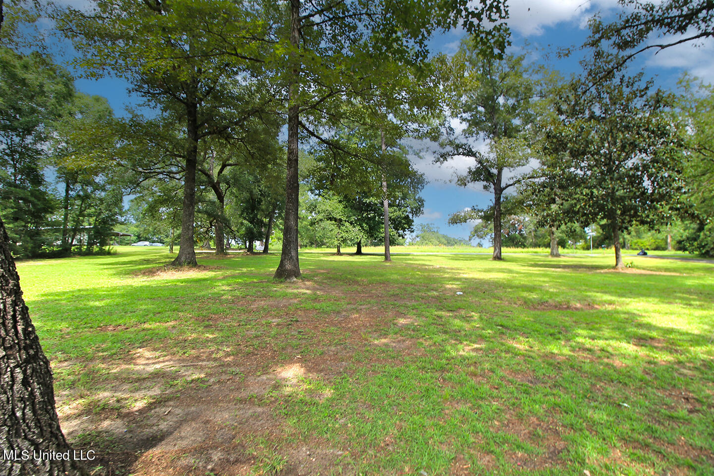 165 Tom Jones Road Lucedale, MS 39452 - Photo 4 of 48 1 (4)