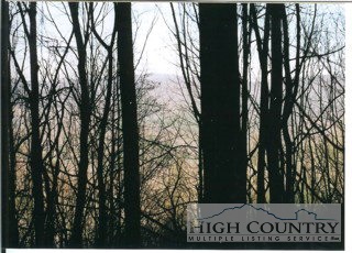 321 Andy Hicks Road Banner Elk, NC 28604 - Photo 1 of 1