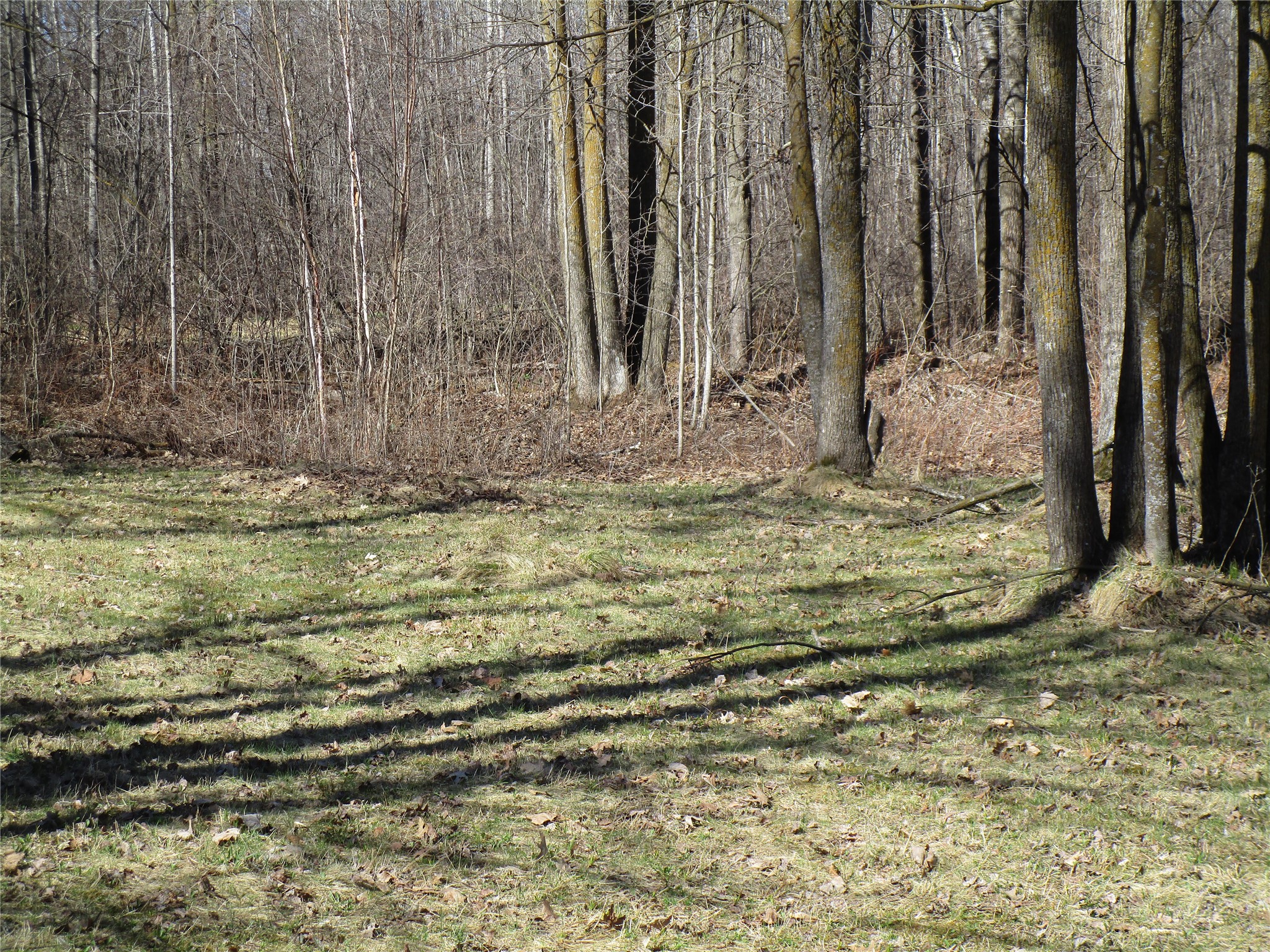N7110 Hackett Road Hawkins, WI 54530 - Photo 9 of 10