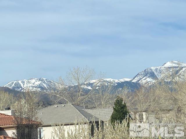 445 Haleb Court Reno, NV 89521 - Photo 36 of 37 Photo 36