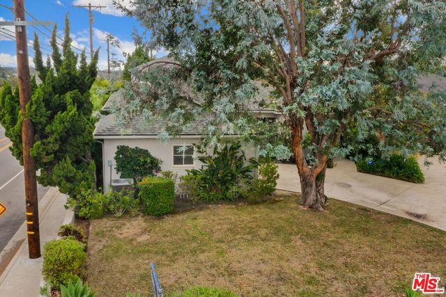 a view of a yard with plants and trees