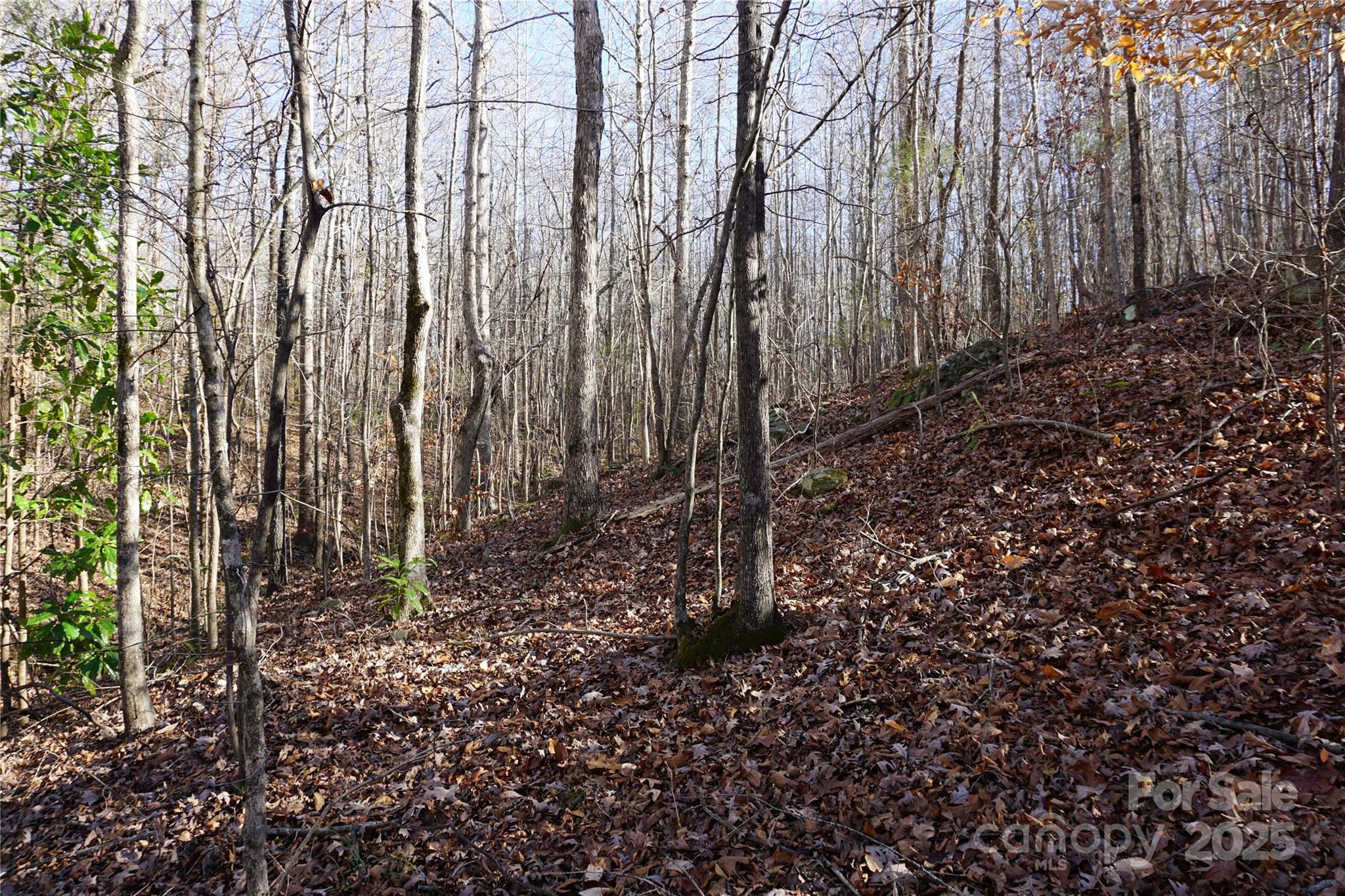 Lot A Ramah Church Road Blacksburg, SC 29702 - Photo 11 of 12