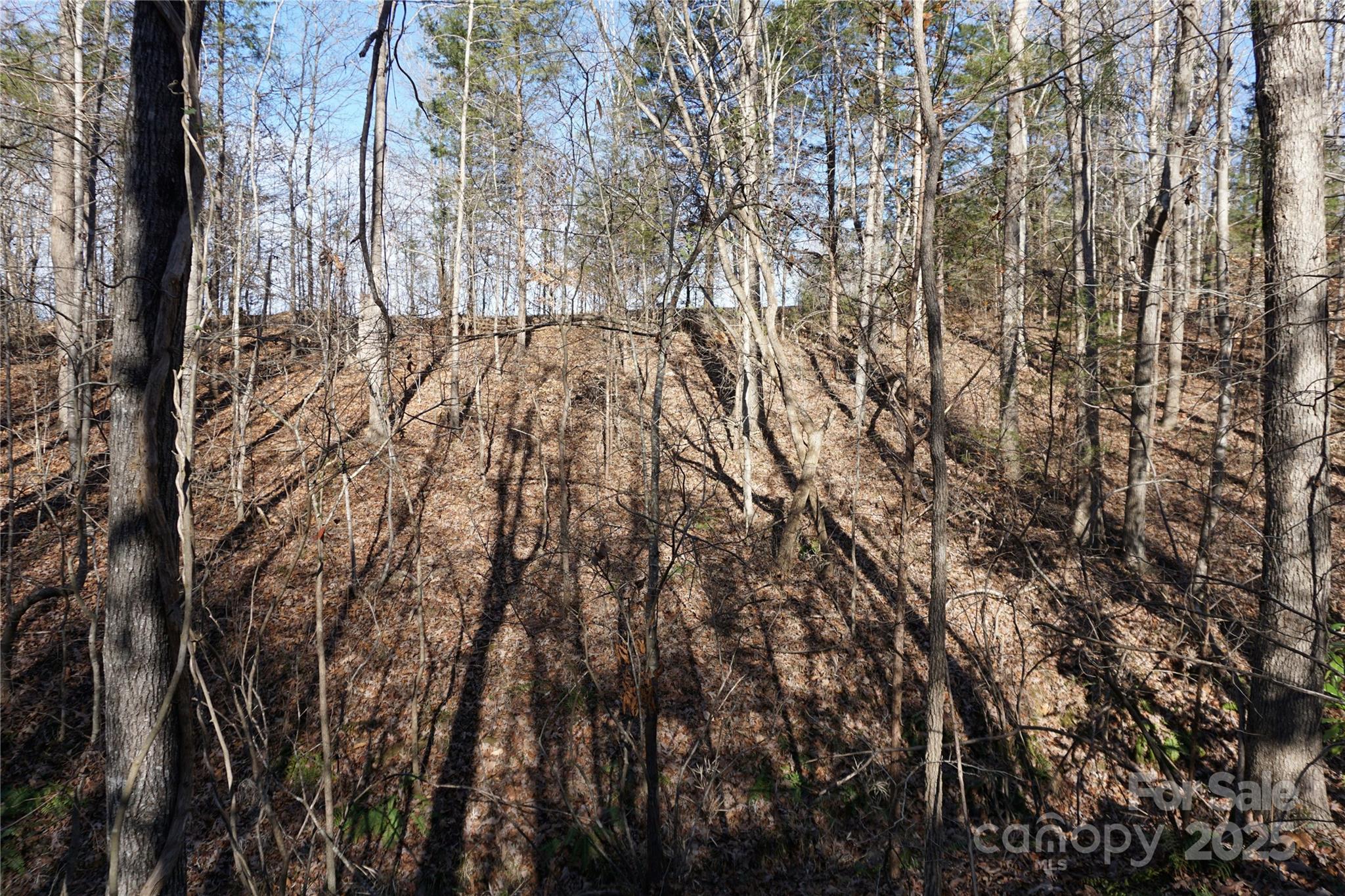 Lot A Ramah Church Road Blacksburg, SC 29702 - Photo 12 of 12