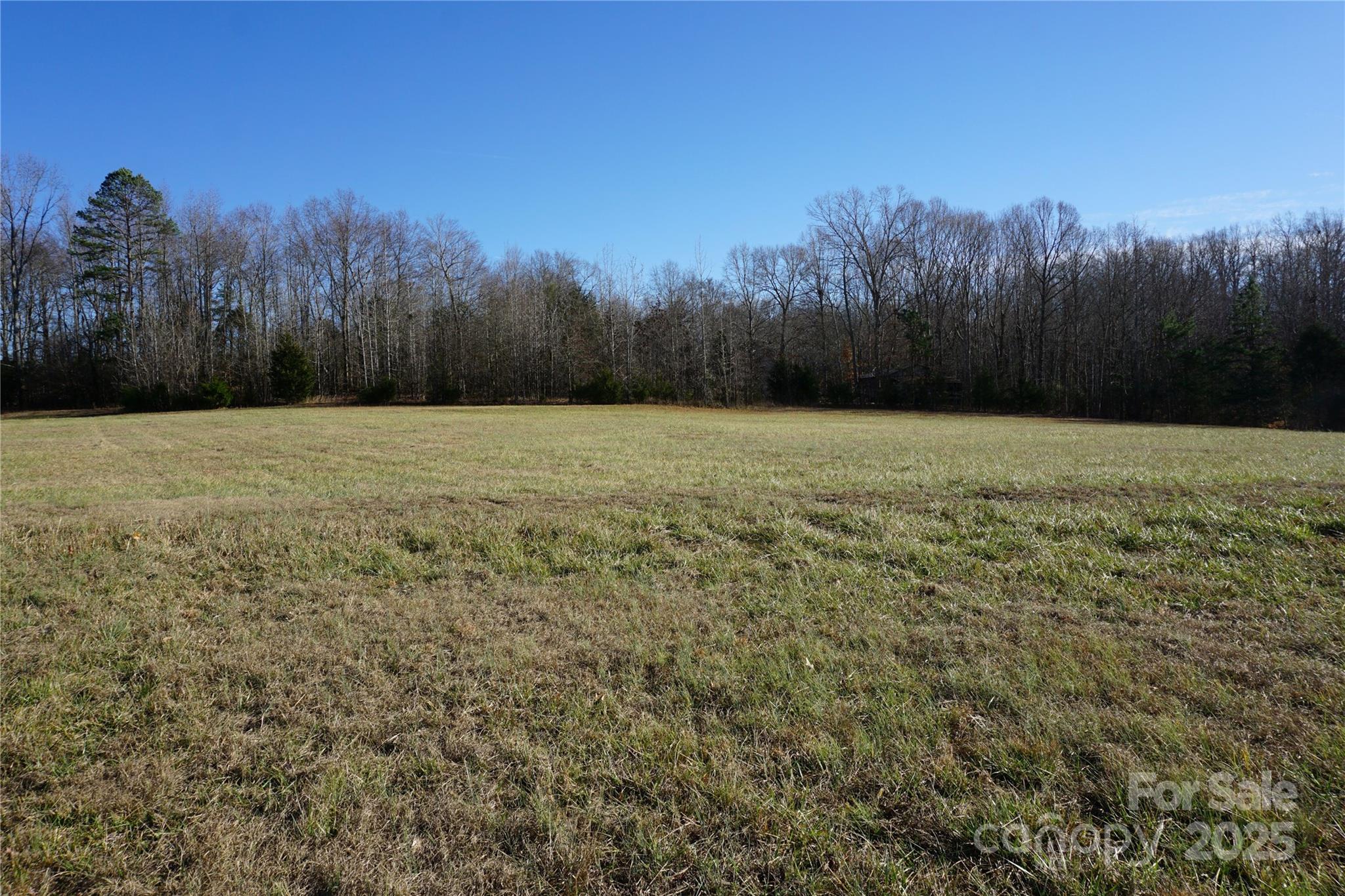 Lot A Ramah Church Road Blacksburg, SC 29702 - Photo 2 of 12