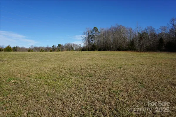 a view of a field with an ocean