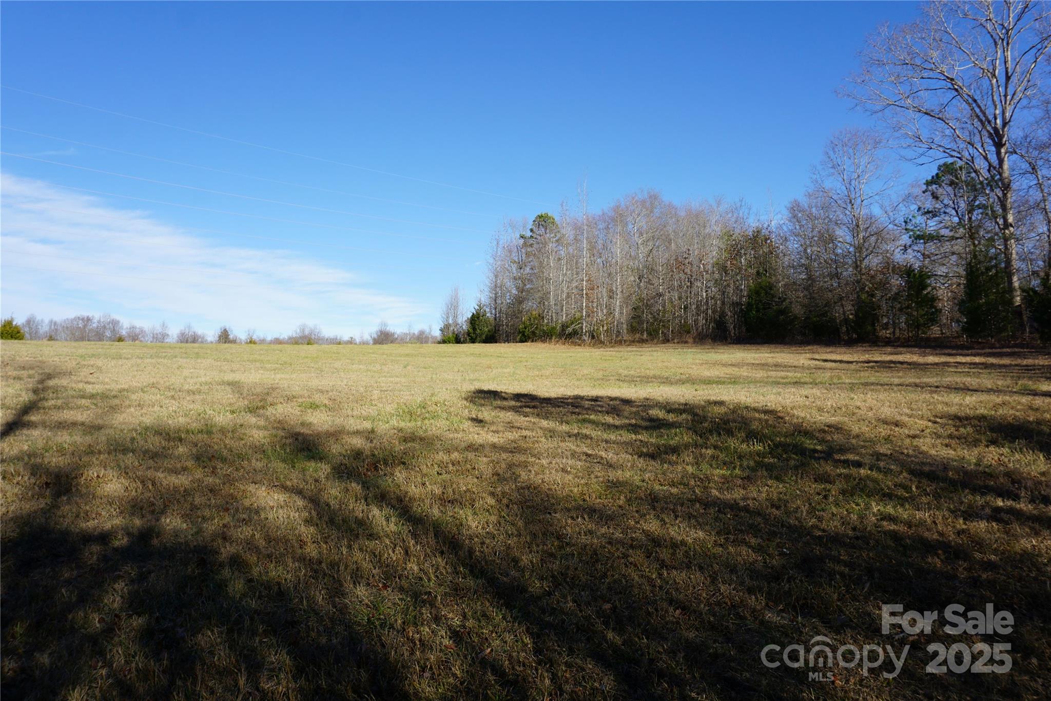Lot A Ramah Church Road Blacksburg, SC 29702 - Photo 4 of 12