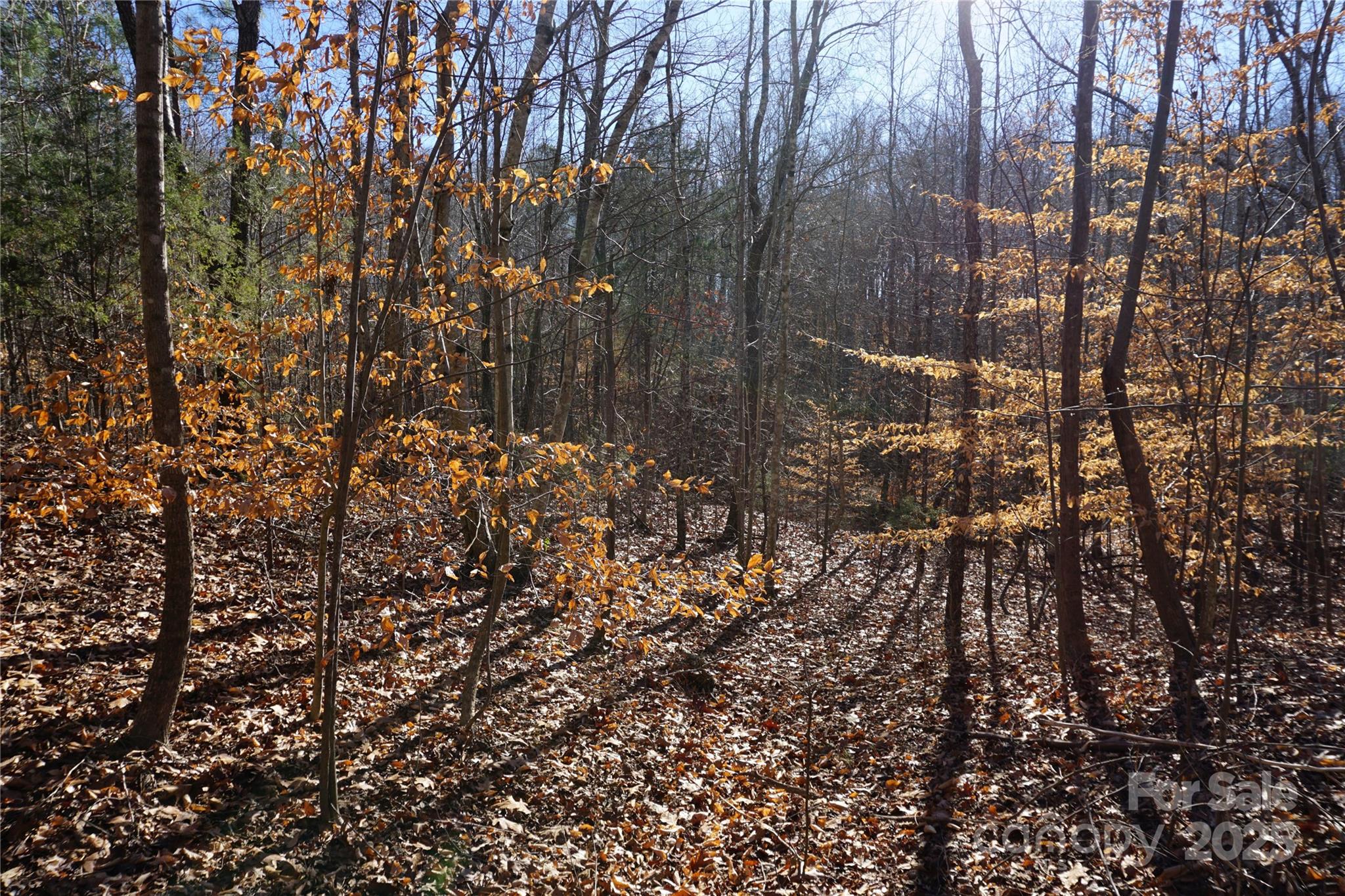 Lot A Ramah Church Road Blacksburg, SC 29702 - Photo 7 of 12