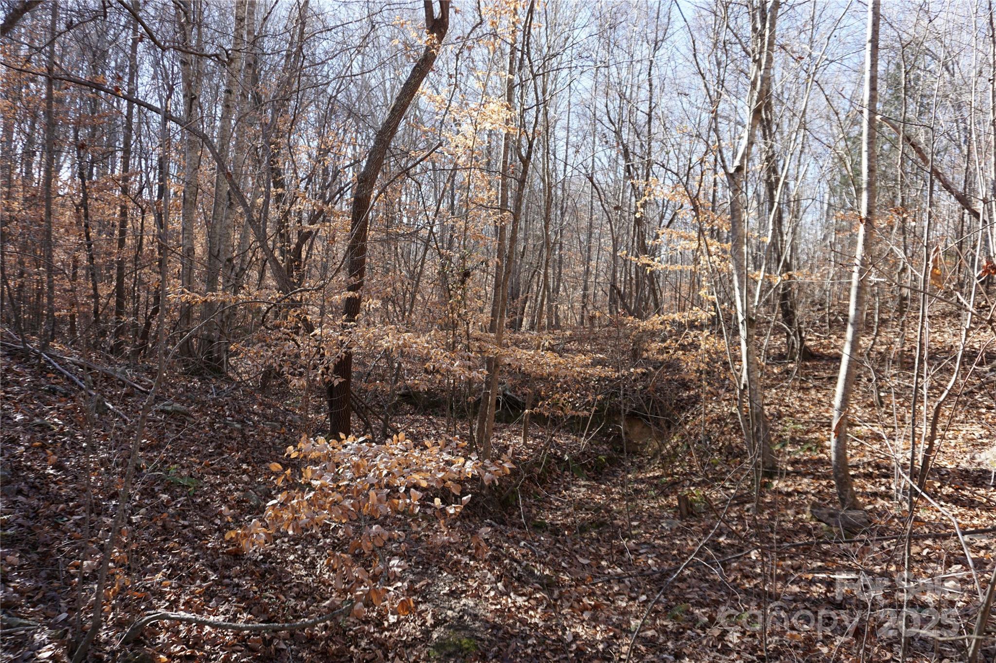 Lot A Ramah Church Road Blacksburg, SC 29702 - Photo 9 of 12