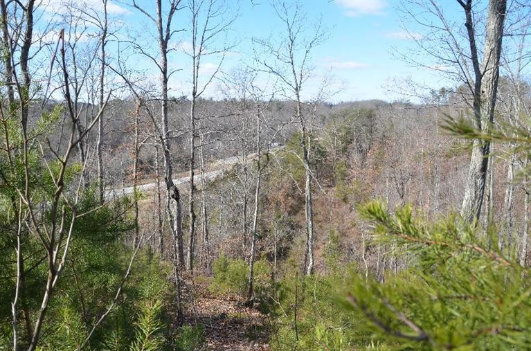 1000 White Oak Road Irvine, KY 40336 - Photo 9 of 27 Perched high on the mountain!