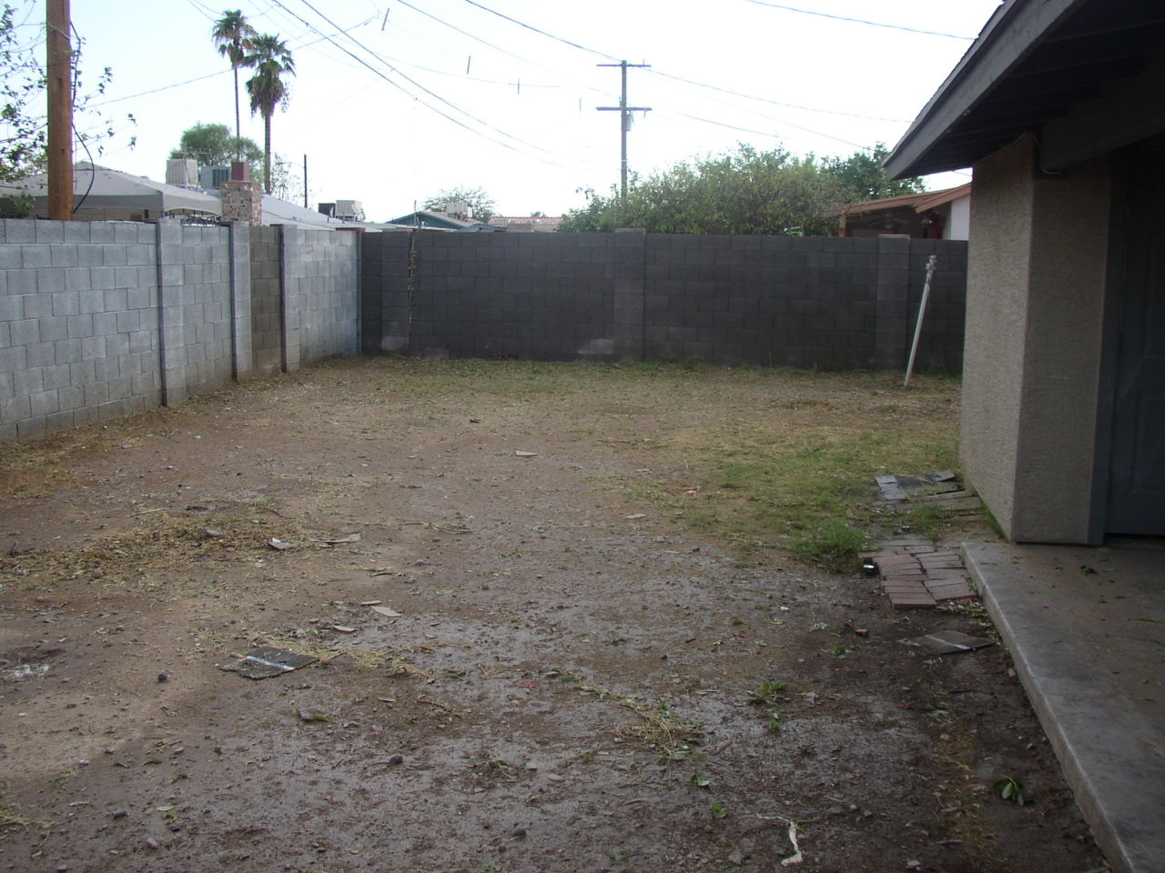 3146 West Coronado Road Phoenix, AZ 85009 - Photo 7 of 7 BACK YARD