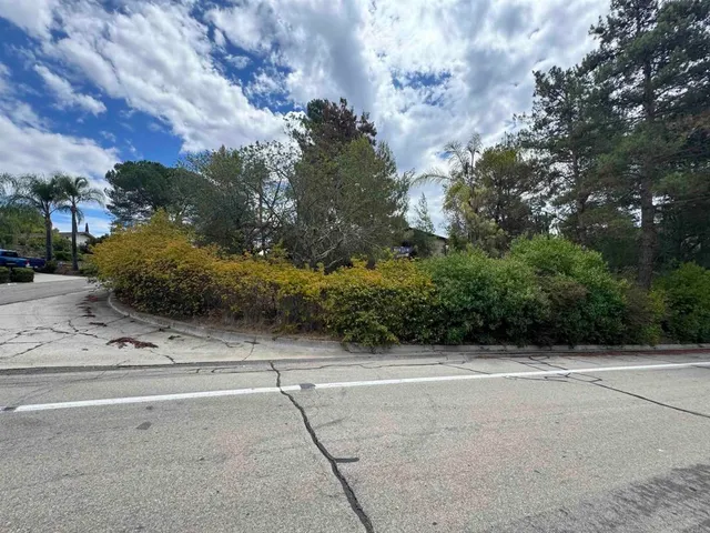 a view of garden space