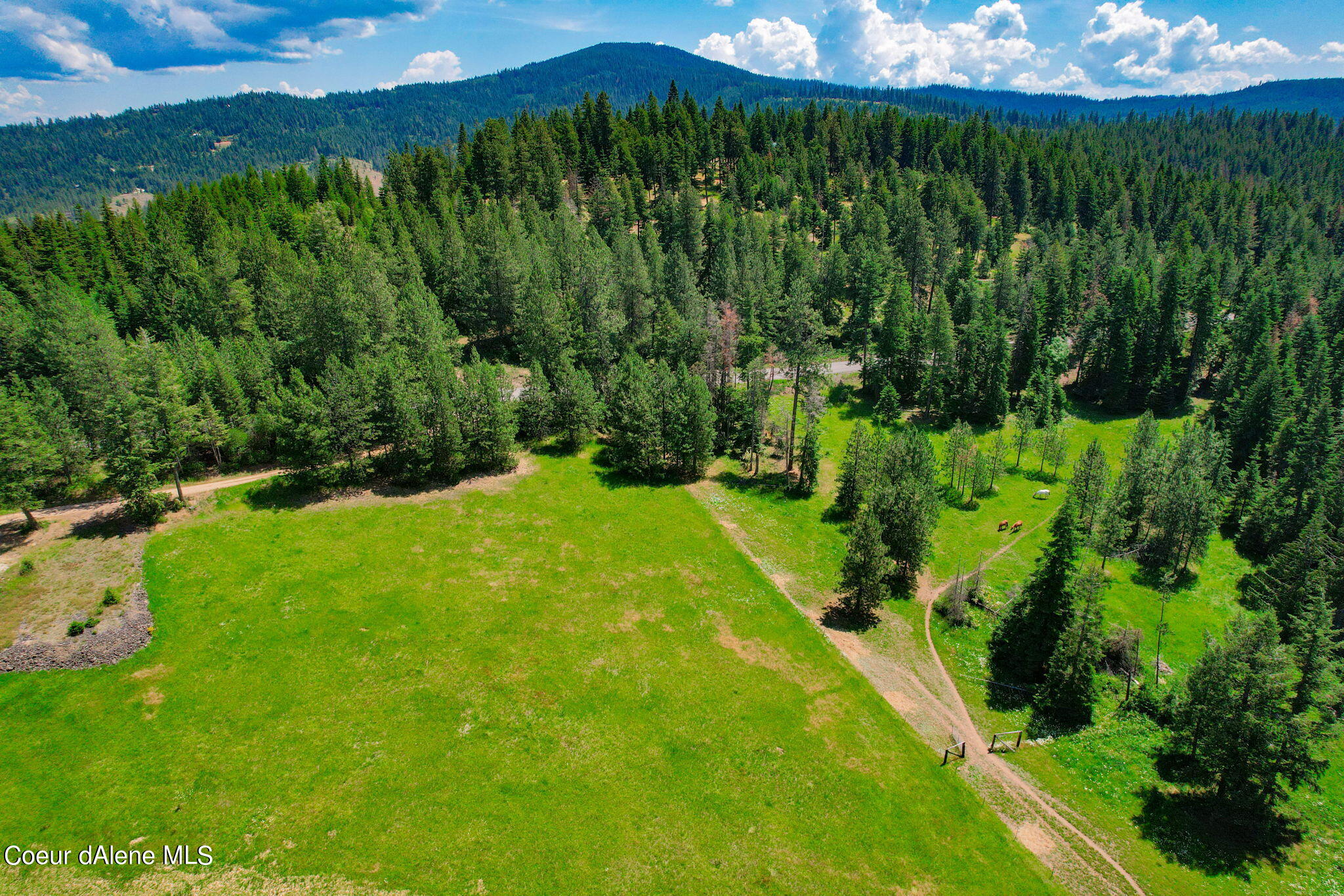 5939 East Burma Road Harrison, ID 83833 - Photo 40 of 52 Room To Build!