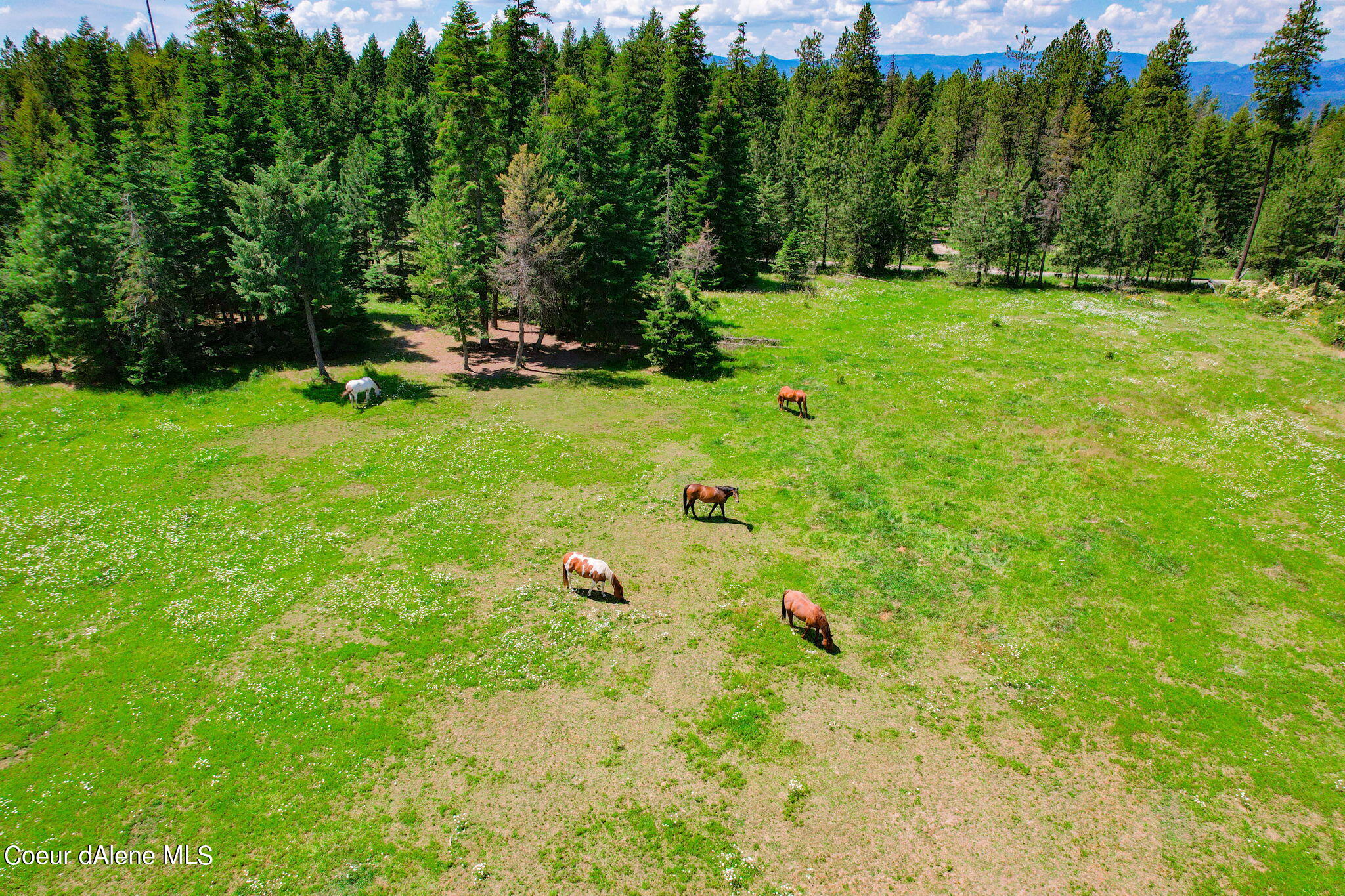 5939 East Burma Road Harrison, ID 83833 - Photo 41 of 52 Extrodinary Horse Property