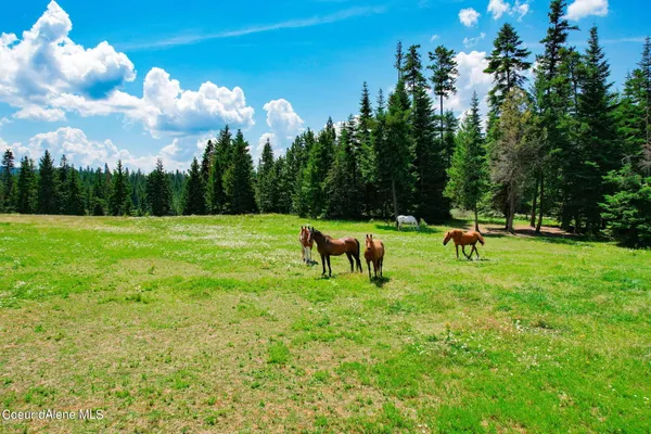 $2,200,000 | 5939 East Burma Road, Harrison, ID 83833