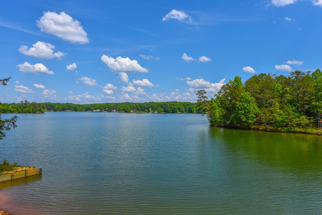 70 Martin Webb Way Iva, SC 29655 - Photo 10 of 22