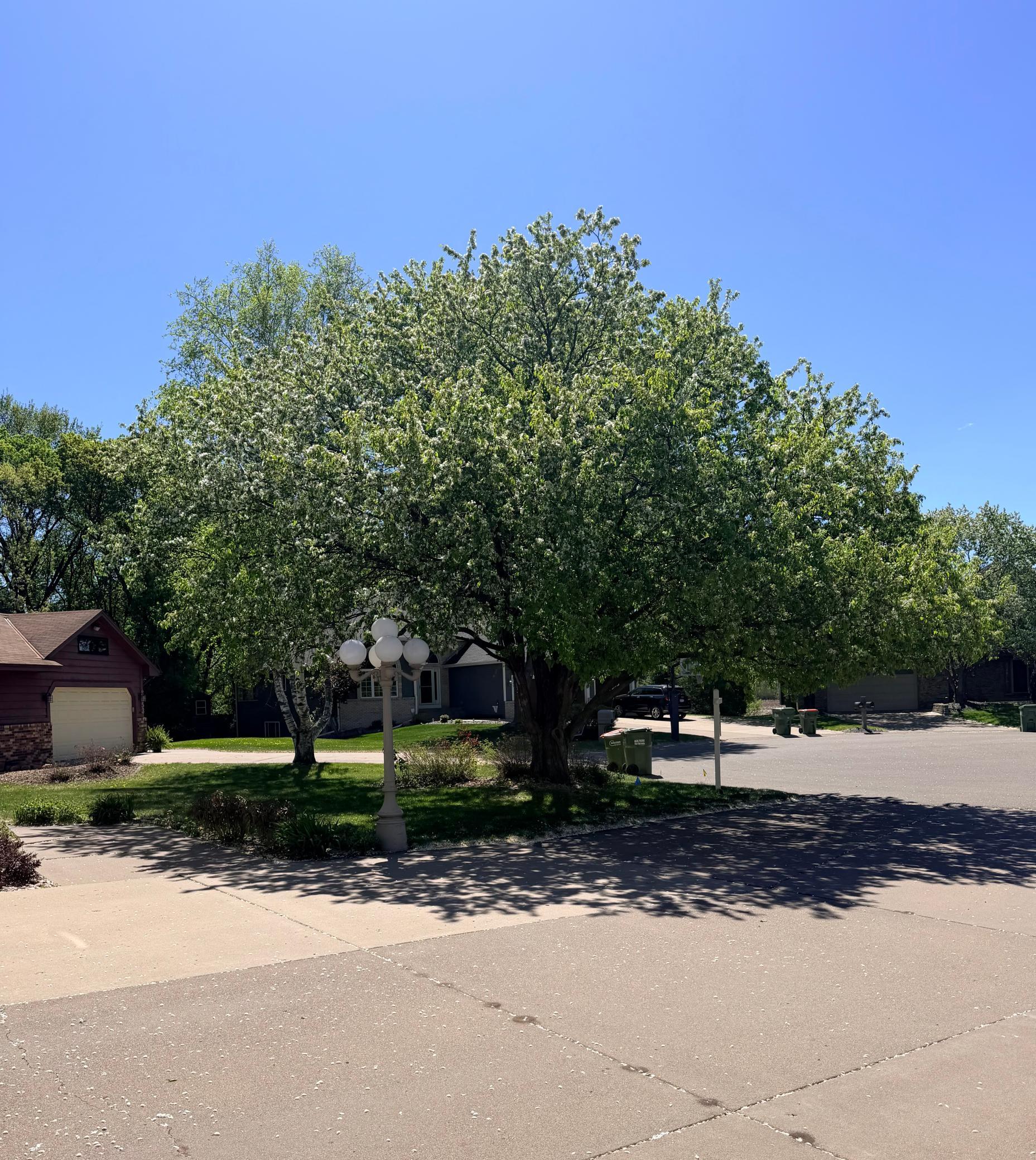 8057 Garfield Street Northeast Spring Lake Park, MN 55432 - Photo 38 of 39