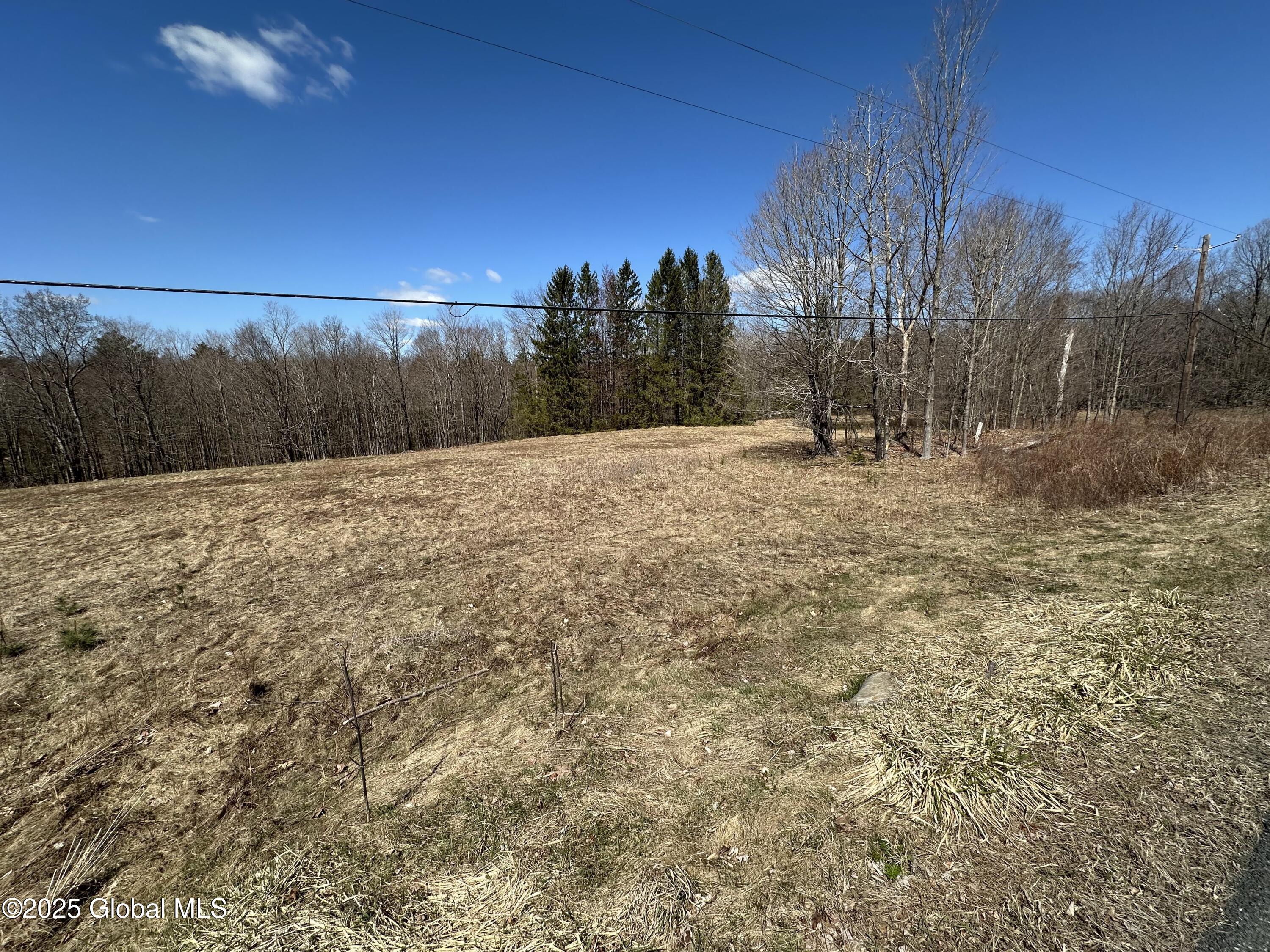 230 S Road Stephentown, NY 12018 - Photo 15 of 47 South Road field