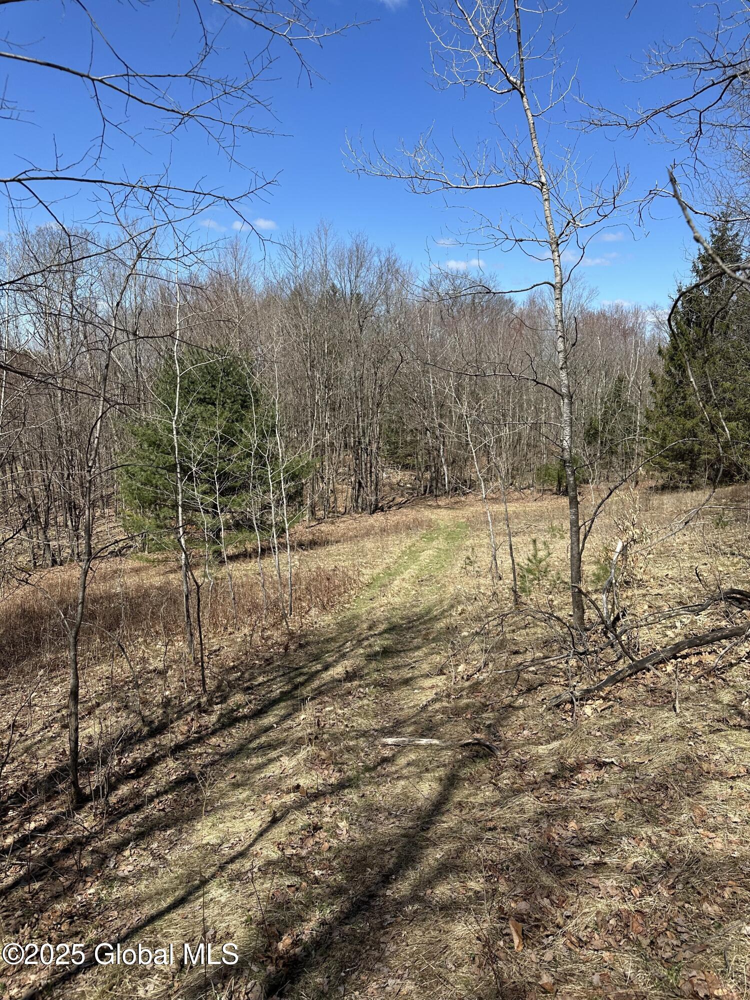 230 S Road Stephentown, NY 12018 - Photo 41 of 47 South Road path 4