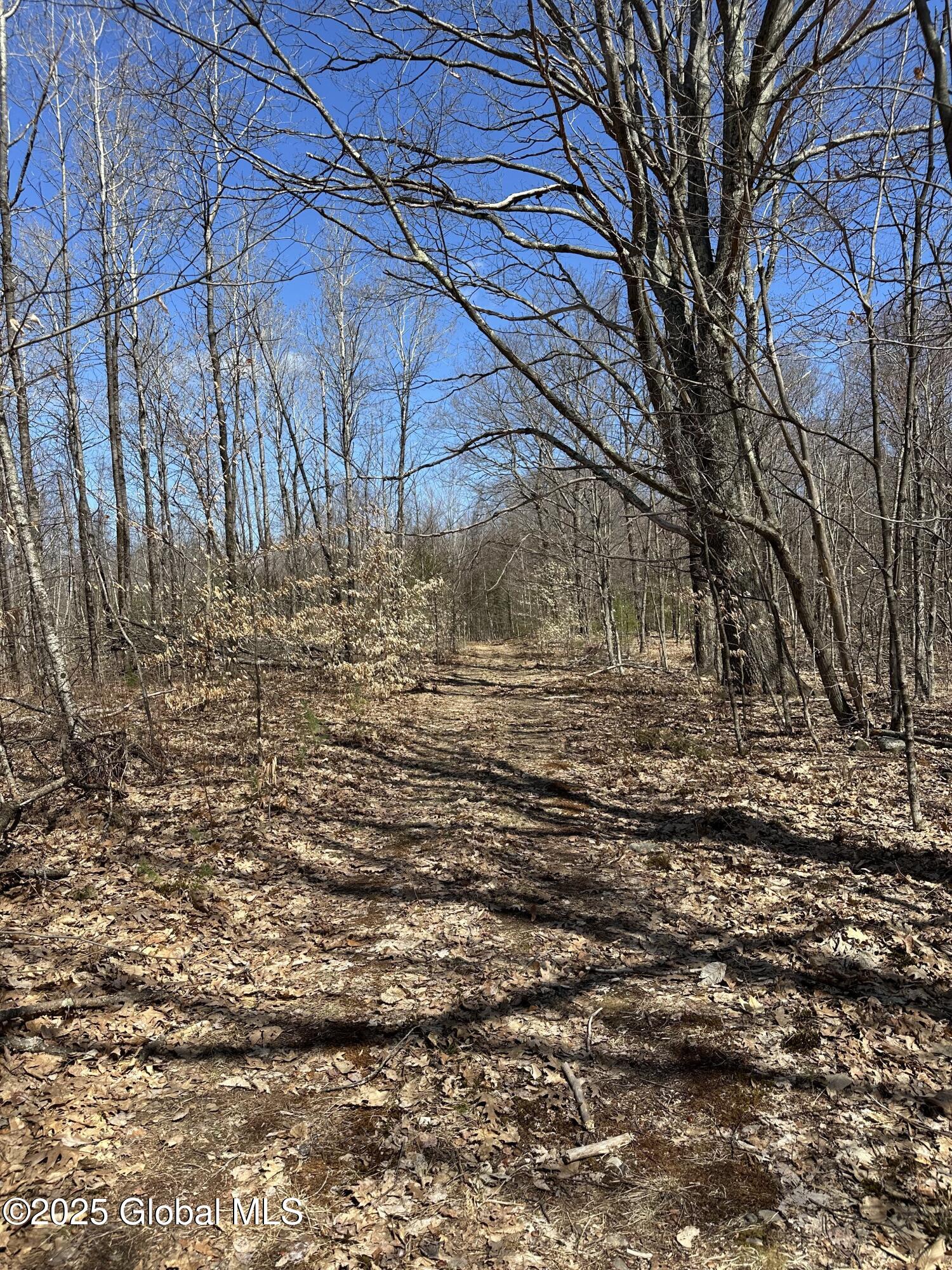 230 S Road Stephentown, NY 12018 - Photo 42 of 47 South Road path 3