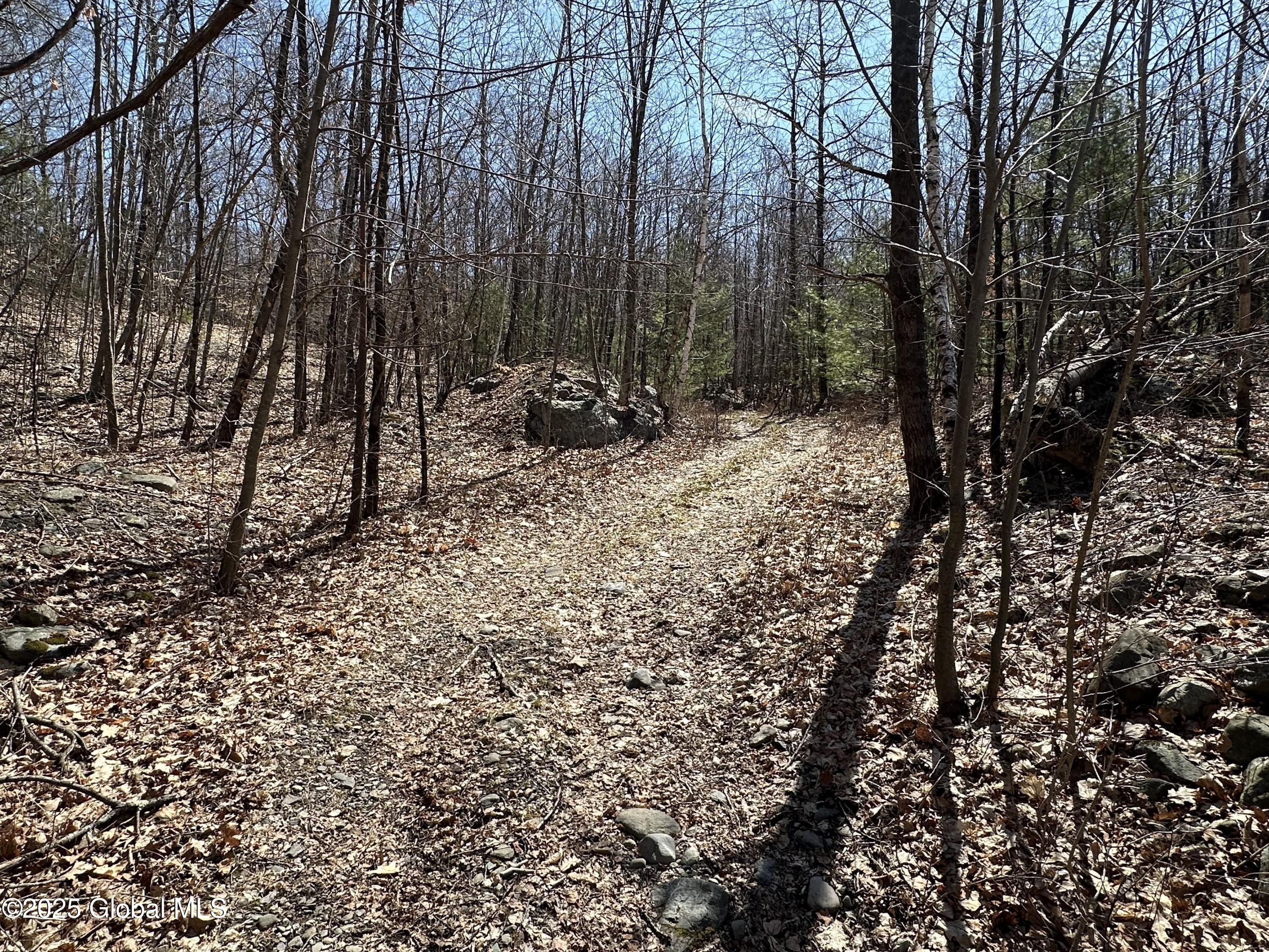 230 S Road Stephentown, NY 12018 - Photo 43 of 47 South Road path 2
