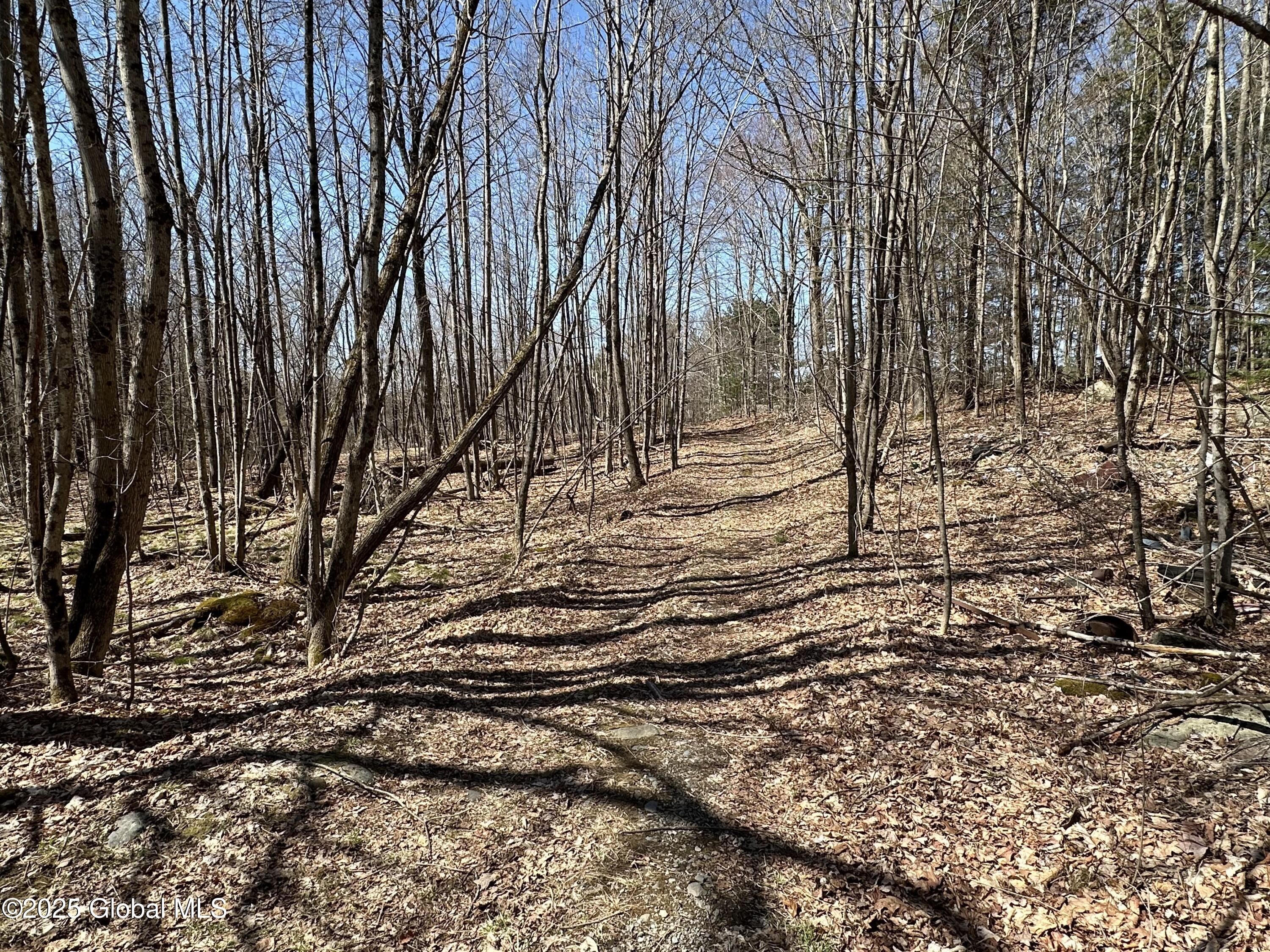 230 S Road Stephentown, NY 12018 - Photo 44 of 47 South Road path